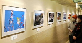 春をテーマに色鮮やかな風景が並ぶ写真展=明石市松の内2 春をテーマに色鮮やかな風景が並ぶ写真展=明石市松の内2
