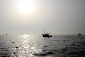 海の底の砂をかき混ぜる桁を引き、海域を何度も往復する漁船=9日午前6時26分、明石市沖、鹿ノ瀬 海の底の砂をかき混ぜる桁を引き、海域を何度も往復する漁船=9日午前6時26分、明石市沖、鹿ノ瀬