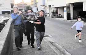 住民らによって網ですくい上げられたウミガメ=明石市本町2(読者提供) 住民らによって網ですくい上げられたウミガメ=明石市本町2(読者提供)