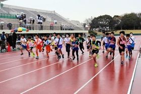 一斉にスタートを切る小学生ランナーたち=明石公園 一斉にスタートを切る小学生ランナーたち=明石公園