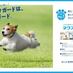 CMに合わせ、的場信幸さん自ら撮影したポスター。飛行犬がノミ、ダニ駆除剤をPRする