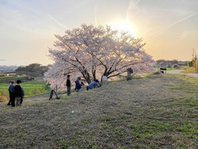 島の美しい風景をとらえた撮影の様子=淡路市尾崎(淡路島フィルムオフィス提供) 島の美しい風景をとらえた撮影の様子=淡路市尾崎(淡路島フィルムオフィス提供)