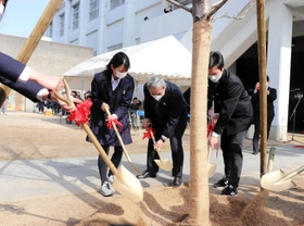 ソメイヨシノの根元に土をかける関経連の松本正義会長(中央)と洲本高校生徒会役員ら=洲本市上物部2 ソメイヨシノの根元に土をかける関経連の松本正義会長(中央)と洲本高校生徒会役員ら=洲本市上物部2