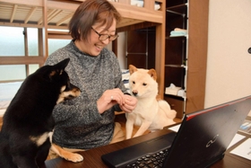 2匹の愛犬とブログを更新する市原美保子さん=南あわじ市阿万塩屋町 2匹の愛犬とブログを更新する市原美保子さん=南あわじ市阿万塩屋町