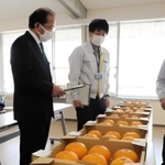 審査されたかんきつ類=洲本市塩屋2