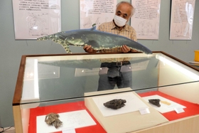実物大のビワコオオナマズのパネルを持ちながら、化石を紹介する樽野さん=淡路市志筑新島 実物大のビワコオオナマズのパネルを持ちながら、化石を紹介する樽野さん=淡路市志筑新島