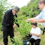 ブルーベリーを世話するカプチーノの向所理恵さん(中央)と柿原孝司さん(右)たち=洲本市中川原町厚浜