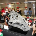 ヤマトサウルス・イザナギイの頭骨の復元模型を眺める児童=淡路文化史料館