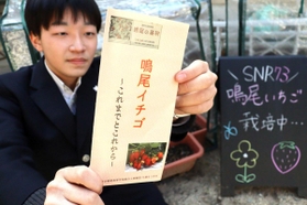 鳴尾イチゴについて調べたリーフレットを紹介する鳴尾高校3年の男子生徒=西宮市学文殿町2 鳴尾イチゴについて調べたリーフレットを紹介する鳴尾高校3年の男子生徒=西宮市学文殿町2