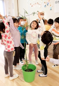 寄贈されたクスノキを楽しそうに眺める子どもたち=芦屋市精道町、精道こども園 寄贈されたクスノキを楽しそうに眺める子どもたち=芦屋市精道町、精道こども園
