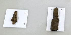 鉄の生産工房だったとみられる建物跡から見つかった古墳時代後期の鉄製品。左は矢尻、右は何らかの武器の切っ先とみられる=兵庫県西宮市、津門大塚町遺跡 鉄の生産工房だったとみられる建物跡から見つかった古墳時代後期の鉄製品。左は矢尻、右は何らかの武器の切っ先とみられる=兵庫県西宮市、津門大塚町遺跡