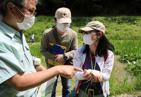 モリアオガエルの卵塊を手に取る子ども=姫路市林田町大堤 モリアオガエルの卵塊を手に取る子ども=姫路市林田町大堤
