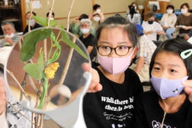 ウマノスズクサとジャコウアゲハのサナギを観察する子どもたち=姫路市飾磨区構3 ウマノスズクサとジャコウアゲハのサナギを観察する子どもたち=姫路市飾磨区構3