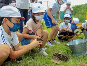 手際良くフジバカマの苗を植える青山小の児童=姫路市青山 手際良くフジバカマの苗を植える青山小の児童=姫路市青山