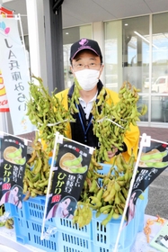 小野市などの農家が栽培している「ひかり姫」=小野市小田町 小野市などの農家が栽培している「ひかり姫」=小野市小田町