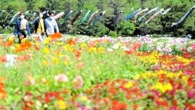 色鮮やかな花畑や新緑の上を泳ぐこいのぼり=加西市豊倉町 色鮮やかな花畑や新緑の上を泳ぐこいのぼり=加西市豊倉町
