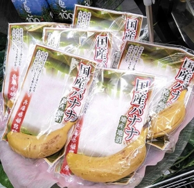 1本ずつ袋入りで店頭に並ぶ福永農産のバナナ(丸共商店提供)