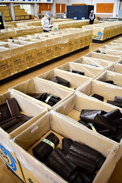 ノリを品定めする商社の担当者=播磨町古宮