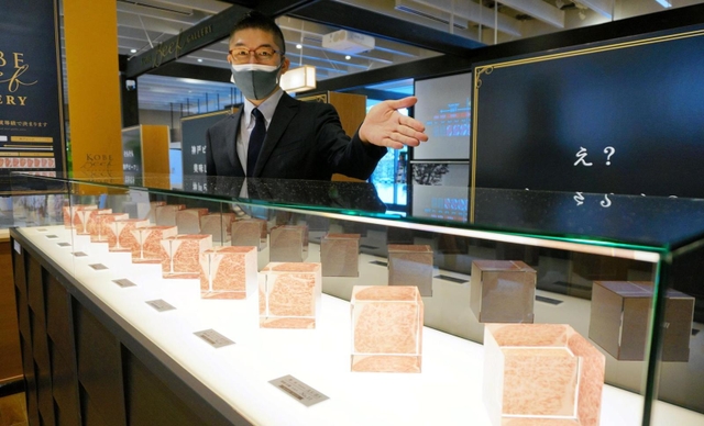 神戸ビーフの霜降り度合いを解説するコーナー=東京都台東区浅草2、神戸ビーフギャラリーTOKYO