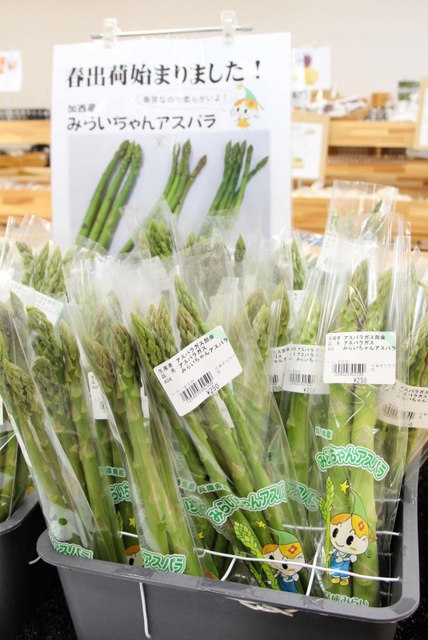 直売所に並んだアスパラガス「みらいちゃんアスパラ」=加西市豊倉町、かさい愛菜館