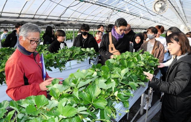 兵庫県立大の学生らにイチゴや施設の説明をする「篠田いちご園」の篠田重一代表(手前左)=西脇市明楽寺町