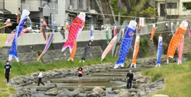 風の中で気持ちよさそうに泳ぐこいのぼり=神戸市兵庫区石井町5 風の中で気持ちよさそうに泳ぐこいのぼり=神戸市兵庫区石井町5