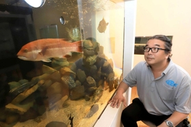 神戸の魚の水槽を眺める大鹿達弥校長=神戸市垂水区海岸通 神戸の魚の水槽を眺める大鹿達弥校長=神戸市垂水区海岸通