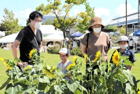 ヒマワリ畑周辺に飲食や雑貨などのブースが並び、親子連れらが夏気分を味わった=神戸市中央区港島南町6 ヒマワリ畑周辺に飲食や雑貨などのブースが並び、親子連れらが夏気分を味わった=神戸市中央区港島南町6