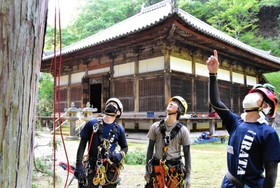 境内の樹木の状態について話し合う「伽耶院修験の森を守る会」のメンバー=三木市志染町大谷 境内の樹木の状態について話し合う「伽耶院修験の森を守る会」のメンバー=三木市志染町大谷