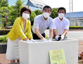 ヒマワリの苗を植える(左から)大北由美教育長、仲田一彦市長、大西秀樹市議会議長=三木市福井 ヒマワリの苗を植える(左から)大北由美教育長、仲田一彦市長、大西秀樹市議会議長=三木市福井