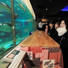 ○須磨海浜水族園でこたつ