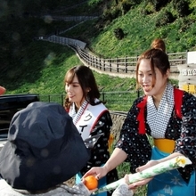 灘黒岩水仙郷開園