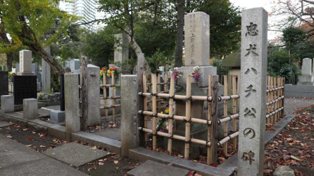 明治以降の著名な政治家や軍人の墓の中に、忠犬ハチ公の墓もあった=東京都港区南青山2