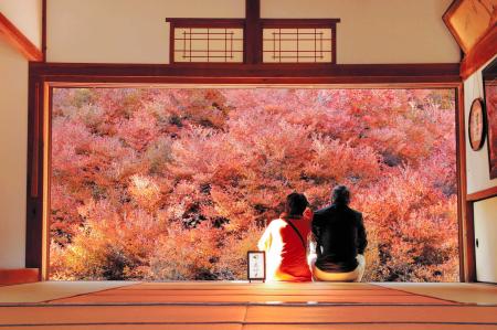 一幅の絵のようなドウダンツツジと本堂=安国寺