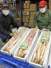 今年のうどの生育状況について話す生産者たち=パスカルさんだ一番館 今年のうどの生育状況について話す生産者たち=パスカルさんだ一番館