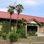 6月15日付の神戸新聞三田版で「廃墟(はいきょ)カフェ」を紹介した後、兵庫県三田市史編さんに携わった市地域創生部参事の印藤昭一さんから電話があった。「あの建物は元々、村立の診療所。無医村に危機感を持った人たちが建てた、汗の結晶なんです」