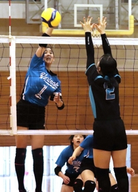 女子バレーボール決勝で力強いスパイクを打つゆりのき台の山本愛優さん(左)=藍中学校 女子バレーボール決勝で力強いスパイクを打つゆりのき台の山本愛優さん(左)=藍中学校