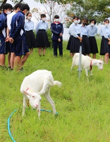 ヤギの飼育方法について説明を受ける生徒=三田市学園1 ヤギの飼育方法について説明を受ける生徒=三田市学園1