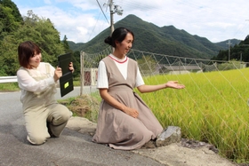 色づいた田んぼを紹介する前中さん(左)と吉川さん=三田市酒井 色づいた田んぼを紹介する前中さん(左)と吉川さん=三田市酒井