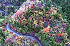 山内文男さんの「錦の山」 山内文男さんの「錦の山」