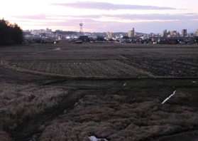 田んぼの向こうに浮かぶ市街地=三田市内 田んぼの向こうに浮かぶ市街地=三田市内