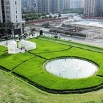 2010年に台湾の台北で開いた展覧会。稲を刈り取るワークショップなども行った(提供)