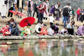 着物姿で桟俵を揖保川に流す子どもたち=たつの市龍野町北龍野 着物姿で桟俵を揖保川に流す子どもたち=たつの市龍野町北龍野
