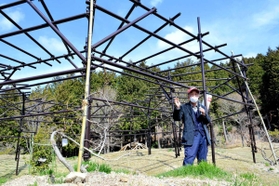 広場に設置されたフジ棚の枠組み=県立国見の森公園 広場に設置されたフジ棚の枠組み=県立国見の森公園