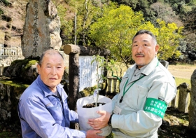 関西育種場遺伝資源管理課の坂本庄生課長(右)から小林清也宮司にコヤスノキの苗木が手渡された=磐座神社 関西育種場遺伝資源管理課の坂本庄生課長(右)から小林清也宮司にコヤスノキの苗木が手渡された=磐座神社