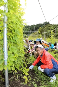 ホップ畑の草抜きに取り組んだ江川地域の住民と「はりまグリーンラボ」のメンバー=佐用町仁方 ホップ畑の草抜きに取り組んだ江川地域の住民と「はりまグリーンラボ」のメンバー=佐用町仁方
