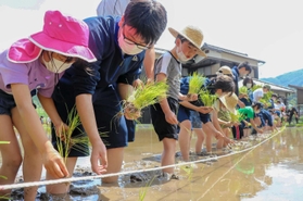 爽やかな日差しの下、苗を植える千種高校の生徒ら=宍粟市千種町千草 爽やかな日差しの下、苗を植える千種高校の生徒ら=宍粟市千種町千草