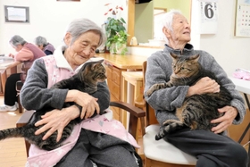 寒い朝晩は特に、ネコの抱っこが喜ばれるという=佐用町志文 寒い朝晩は特に、ネコの抱っこが喜ばれるという=佐用町志文