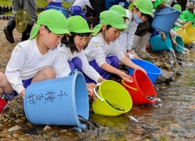 千種川にアユを放流する子どもたち=宍粟市千種町室 千種川にアユを放流する子どもたち=宍粟市千種町室