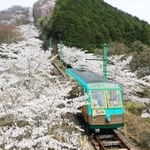 2023年12月での廃止が発表された妙見の森ケーブル=川西市黒川(21年3月撮影)